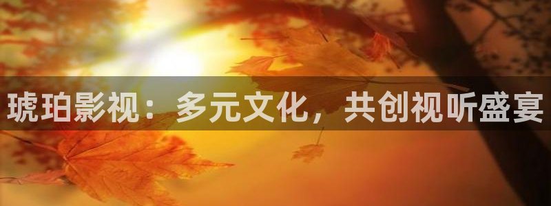 可可影视管网：琥珀影视：多元文化，共创视听盛宴
