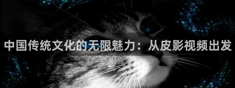 可可影视tv：中国传统文化的无限魅力：从皮影视频出发