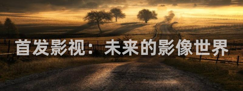 可可影视中国下载：首发影视：未来的影像世界