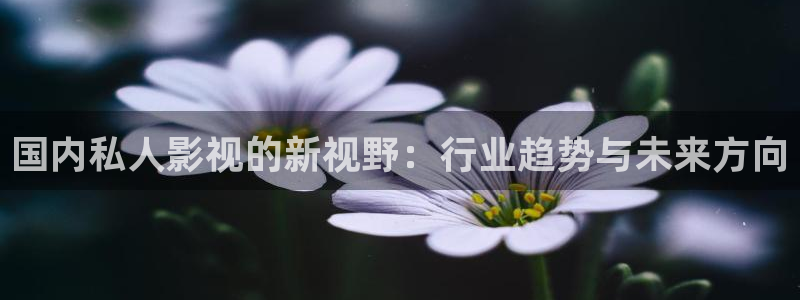 可可影视.：国内私人影视的新视野：行业趋势与未来方向