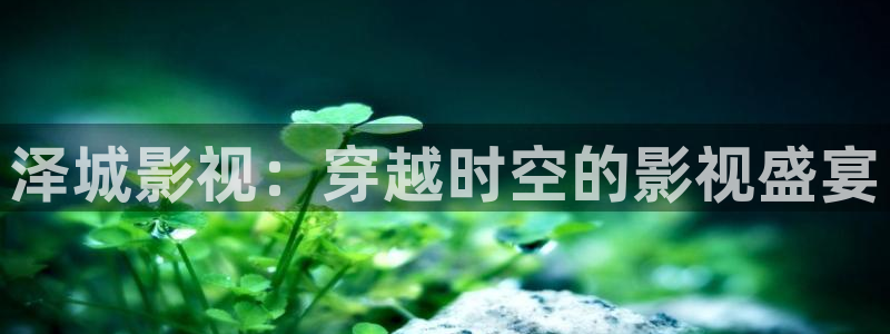 可可影视电视版下载：泽城影视：穿越时空的影视盛宴