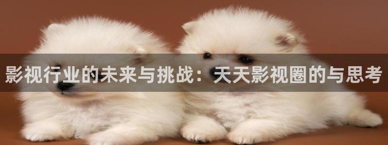 可可影视官方网站：影视行业的未来与挑战：天天影视圈的与思考