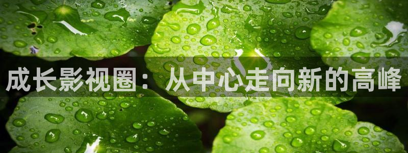三级可可影视在线：成长影视圈：从中心走向新的高峰
