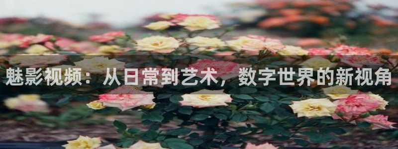 可可影视官网app下载：魅影视频：从日常到艺术，数字世界的新视角