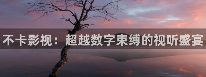 可可影视在线观看免费：不卡影视：超越数字束缚的视听盛宴