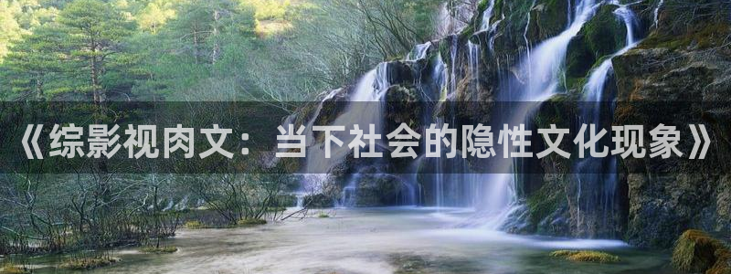 可可影视安装包：《综影视肉文：当下社会的隐性文化现象》