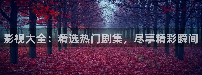 可可影视安装包：影视大全：精选热门剧集，尽享精彩瞬间